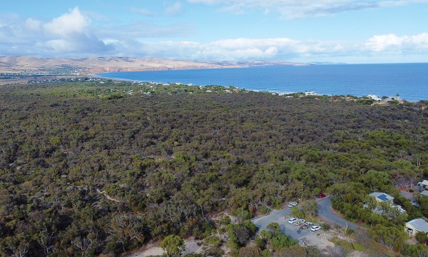 Thumbnail for Make time to explore Aldinga Scrub