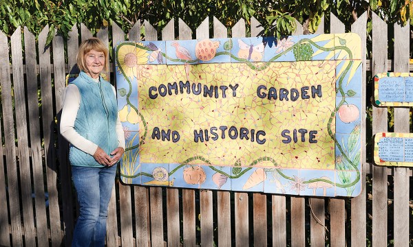 Thumbnail for Community gardens: Sprouting connections