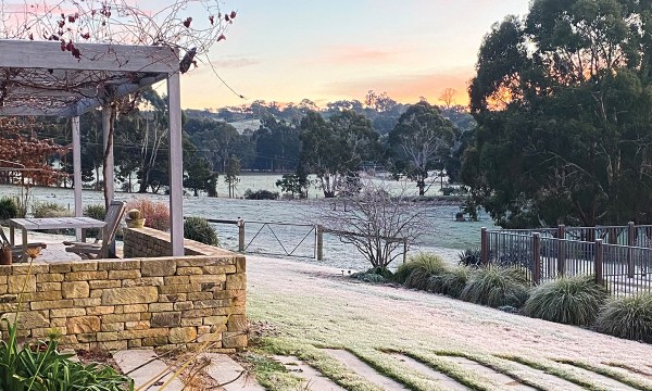 Thumbnail for How to fight back against frost