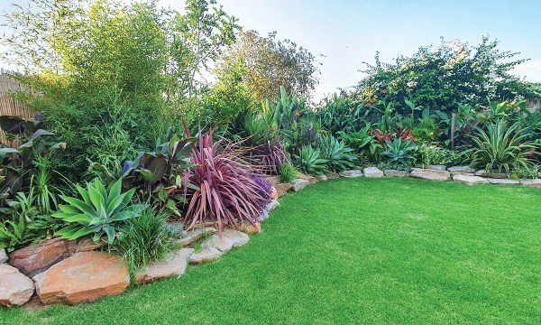 A beautiful holiday garden can be created with layers of intriguing shapes and textures. 
