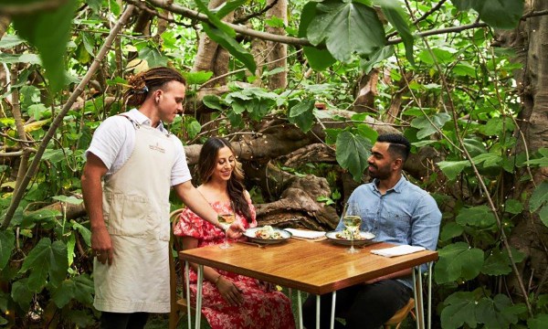 Thumbnail for The Enchanted Fig Tree is back in business