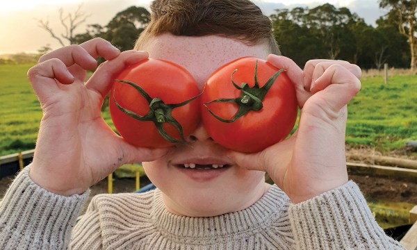 Thumbnail for Time for tomatoes