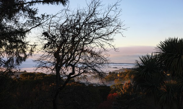 Thumbnail for Lost and Found