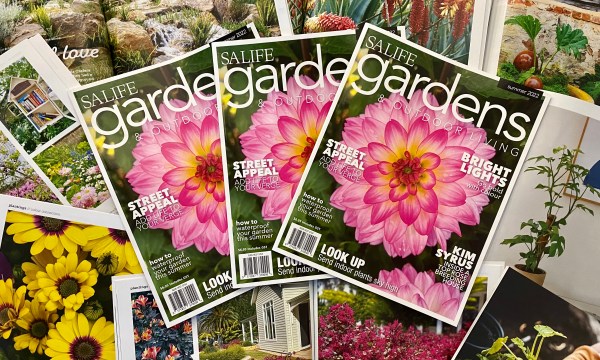 Thumbnail for SALIFE Gardens & Outdoor Living Summer 2022 is out now!