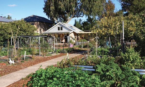 Thumbnail for Sprouting connections