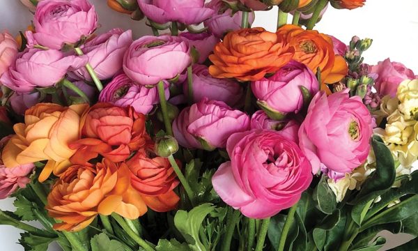 Thumbnail for A flower garden of your own