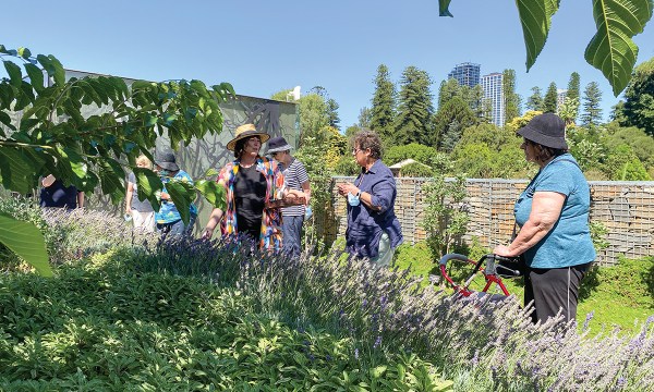Feel Good Fridays at the Adelaide Botanic Garden are a hit with participants. Photograph supplied Adelaide Botanic Garden