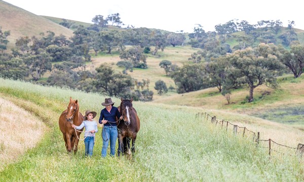 Thumbnail for Free range on the farm