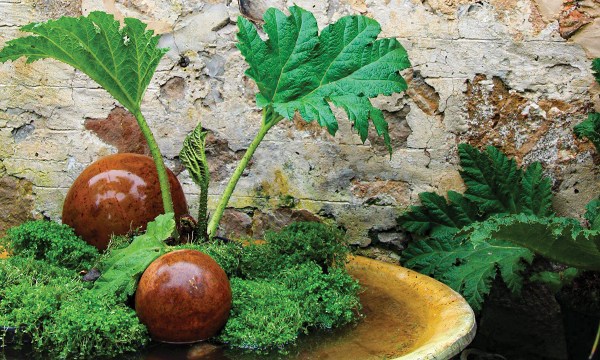 There are myriad ways to add water into your garden including reflection bowls.