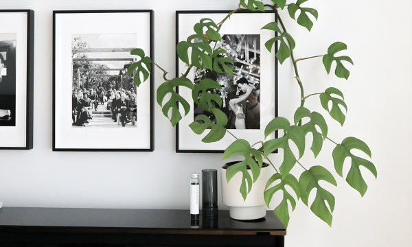 Cascading plants on totem poles add interest and texture to your interiors.