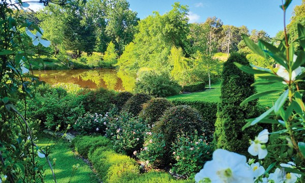 The garden was designed by Chris who was a co-founder of Australia’s Open Gardens Scheme and had a sharp eye for garden design. 