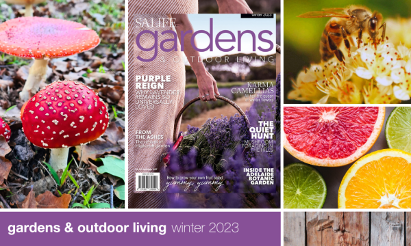 Thumbnail for SALIFE Gardens & Outdoor Living Winter 2023 is out now!