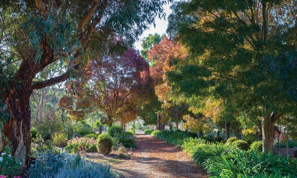 Maureen and Chris’ property was formerly part of a 7000-acre station called Mount Beevor.