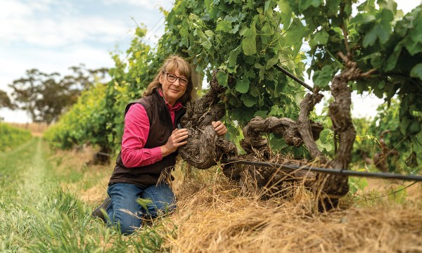 Prue in the Mount Edelstone Vineyard. Photograph Charlie Phillpot.