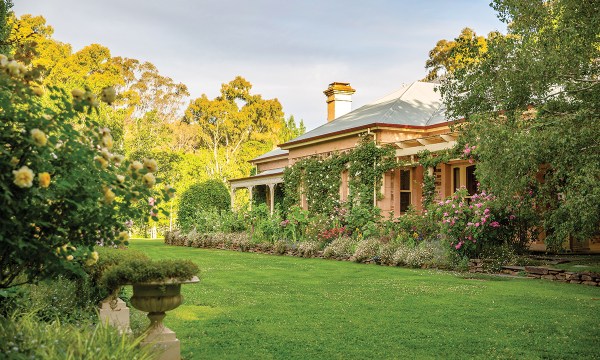 Thumbnail for Heritage Rose Garden hosts open day in memory of Walter Duncan