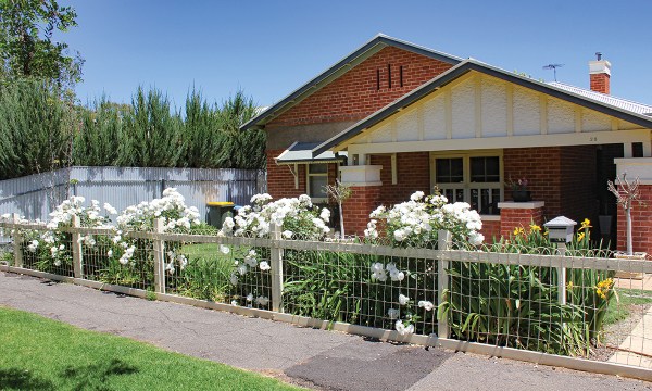 Thumbnail for Is Adelaide the rose capital of Australia?