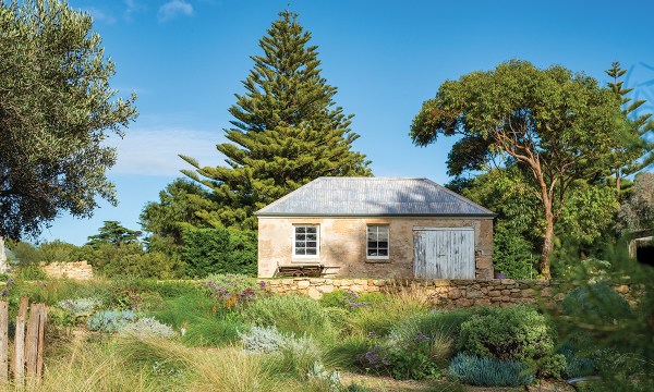 A stunning historic cottage sits among a sea of grasses on South Australia’s Limestone Coast.