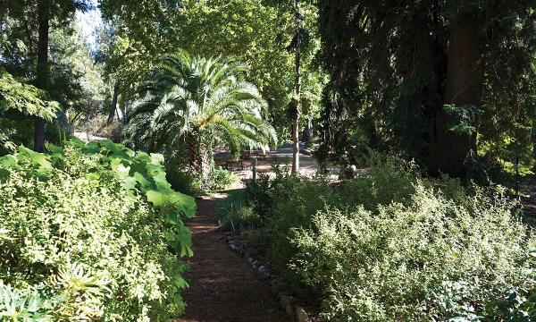 Thumbnail for A slice of paradise