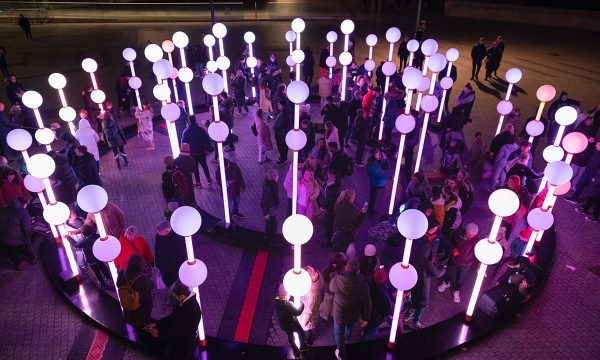 Thumbnail for Glowing gardens to mysterious animals: Winter school holidays are magical with Illuminate Adelaide