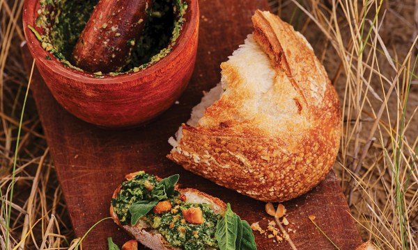 Thumbnail for Warrigal greens and macadamia pesto