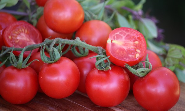 Thumbnail for How to save tomato seeds for next year