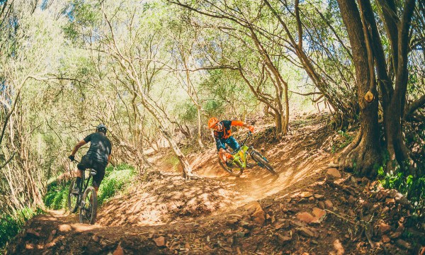 Thumbnail for On the right track