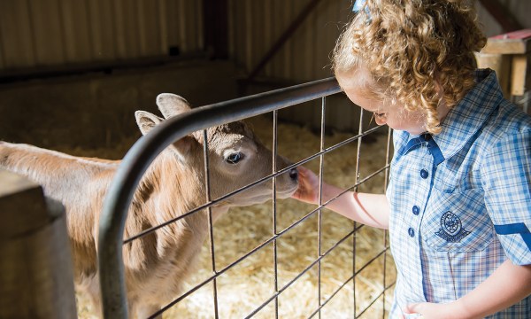 Thumbnail for 10 things to do with kids around SA