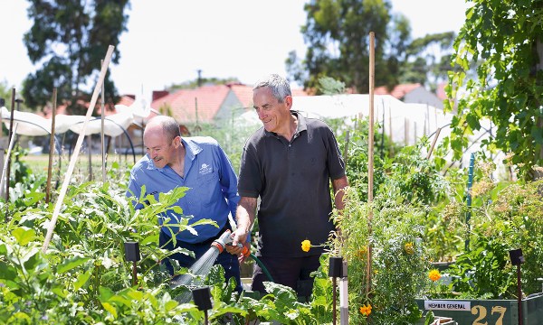 Thumbnail for Community gardens: Reap what you sow