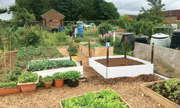 Thumbnail for Going organic in the garden