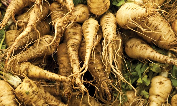 Thumbnail for How to get the best from home-grown parsnips