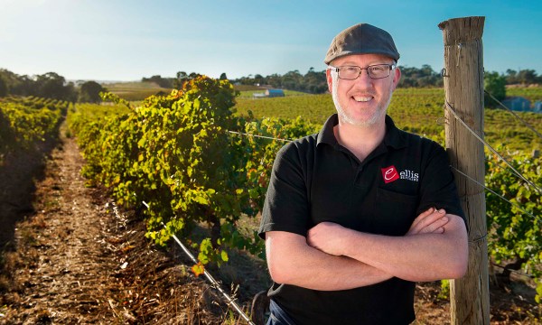 Thumbnail for 10 great foods from regional SA