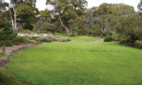 Thumbnail for How to love your lawn