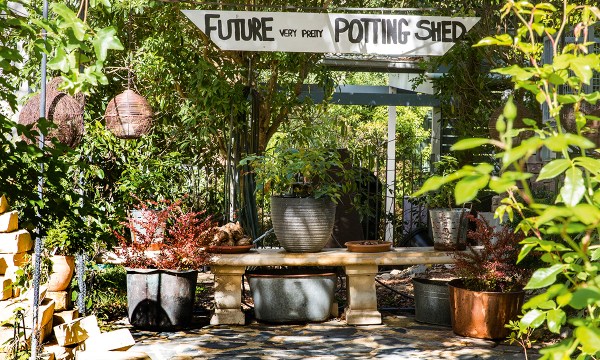 Thumbnail for In the garden: A garden worth celebrating