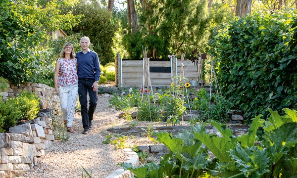 Thumbnail for New roots in Windspiel Garden