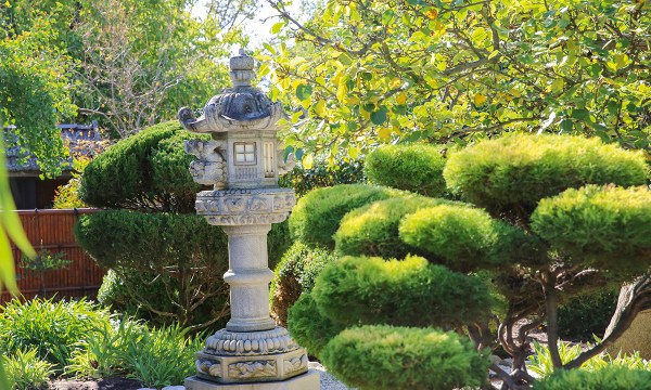 Thumbnail for In the garden: Finding zen at the Himeji Garden