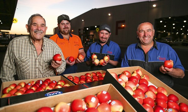 With apples fresh from their local fruit farms, Ceravolo Orchards’ Ralph
Ceravolo, Nick Vinci, Matthew Agostino and Tony Ceravolo enjoy the
camaraderie that comes with working in the produce industry.