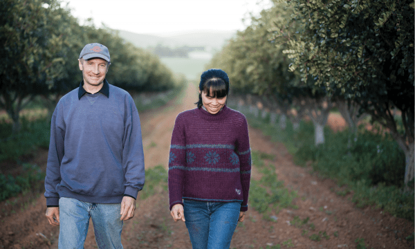 Michael and Jam Jolley took a risk planting carob trees in the Mid North.