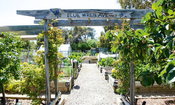 Thumbnail for Cittaslow Goolwa: Life in the slow lane