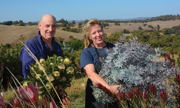 Des and Ange Kidman enjoy the social aspects of flower farming – a contrast to their former life growing potatoes. 