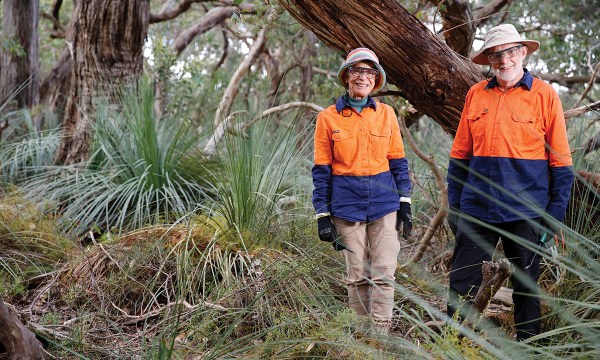 As volunteer Bushcarers, McLaren Vale’s Lynne and Ian Norman have discovered a great sense of satisfaction in adopting two Bush For Life sites atop Willunga Hill.