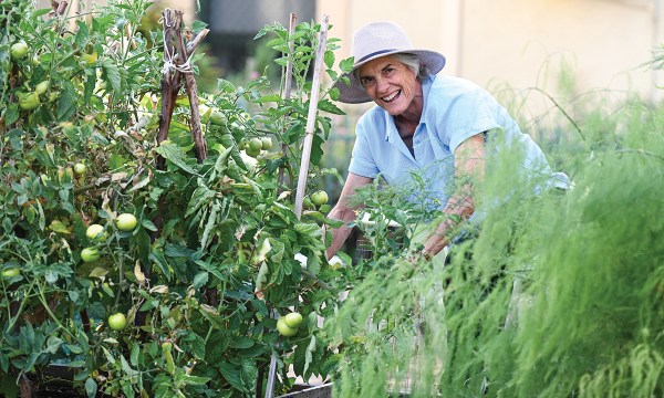 Thumbnail for Gardens: Growing a community
