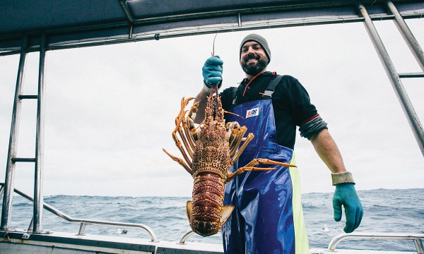 Almost all local South Australian fishers are family operators.