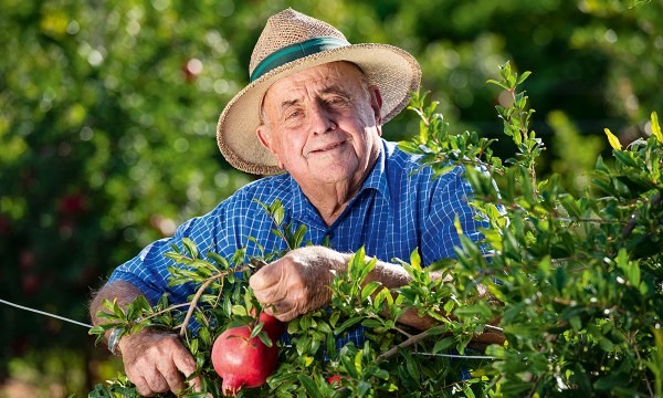 Third-generation fruit grower Mike Arnold has one of the few remaining family-run orchards in the region. 