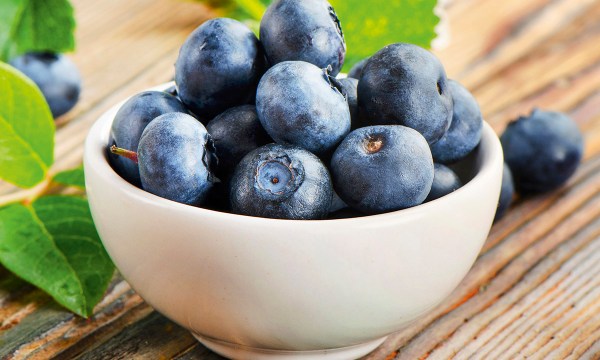 Thumbnail for In the garden: Plant some blueberries, gardenias and petunias