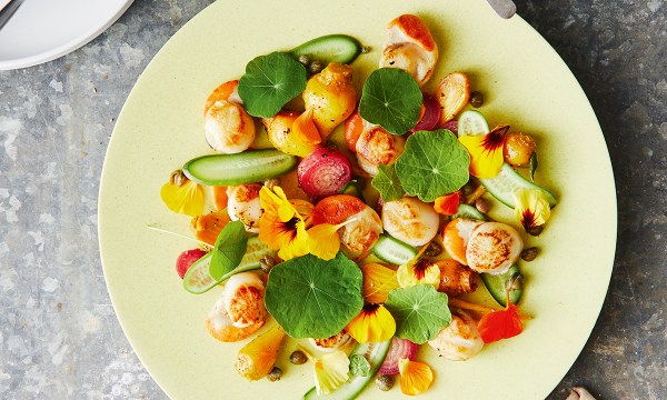 Thumbnail for Recipe: Nasturtium, scallop, beetroot & caper salad with honey vinaigrette