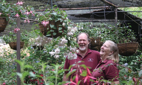 Owners Roger and Chris Scrase have been growing fuchsias since 1983.