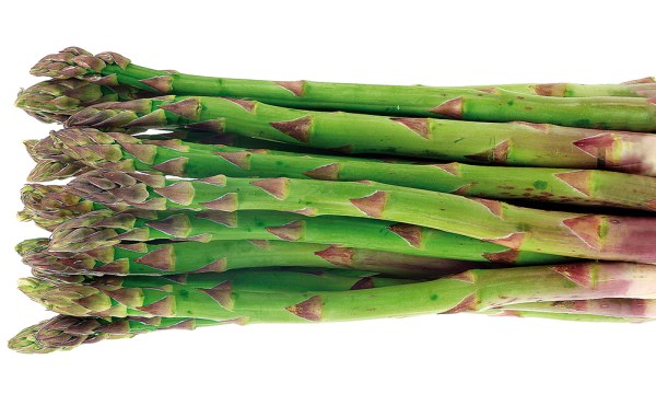 Thumbnail for How to grow asparagus