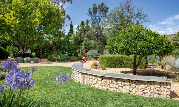 Thumbnail for In the garden: California dreamin’