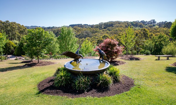 Thumbnail for A gardener’s paradise in the Adelaide Hills