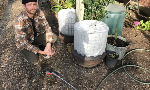 CityMag publisher Josh Fanning has been hard at work building greenhouses - these ones are for a row of broccoli. "Mostly, I wanted to build something that protected the new seedlings but also meant I didn't have to do too much gardening. Basically I wanted the covers to keep the bugs out. Bug prevention failed on the broccoli, but these little rounds are housing parsley, fennel and cabbage seeds that have all sprouted and are growing well. All materials were purchased from Banner Mitre 10 in Blackwood as well as found objects from the backyard. It's fun being thrifty right now."